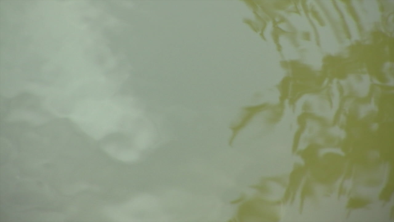 cielo y árboles reflejados en el agua brillante del estanque