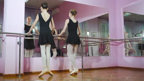 graceful ballerinas are practicing by bar in modern studio. two ballet dancers are engaged in choreography using barre in room.