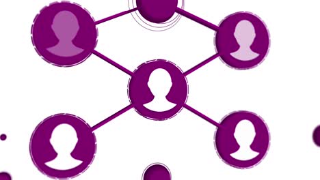 purple network of people