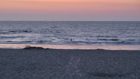 mar y playa después del atardecer, cielo rosa, hombre solo en el agua, estático