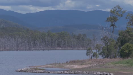 Lago-Advancetown-En-Queensland,-Australia---Embalse-Incautado-Para-El-Suministro-De-Agua-De-La-Región-De-La-Costa-Dorada-A-Través-De-La-Presa-Hinze---Tiro-Estático