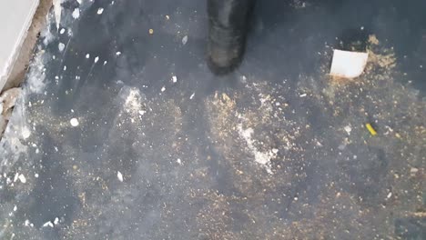 close up of vacuum hose sucking up dust on floor