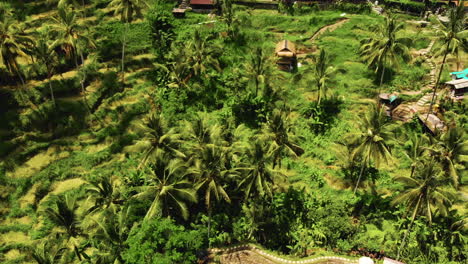 aerial footage of beautiful balinese nature and villages