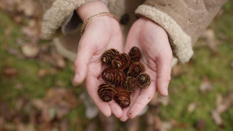 hands holding seeds in woodland area