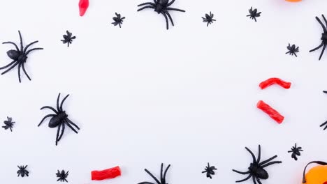 Animation-of-spiders-on-white-background
