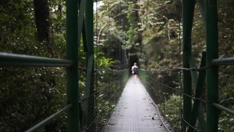 woman walking over the hanging bridge monteverde cloudforest - costa rica