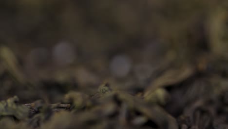 hand picking dry black tea leaves