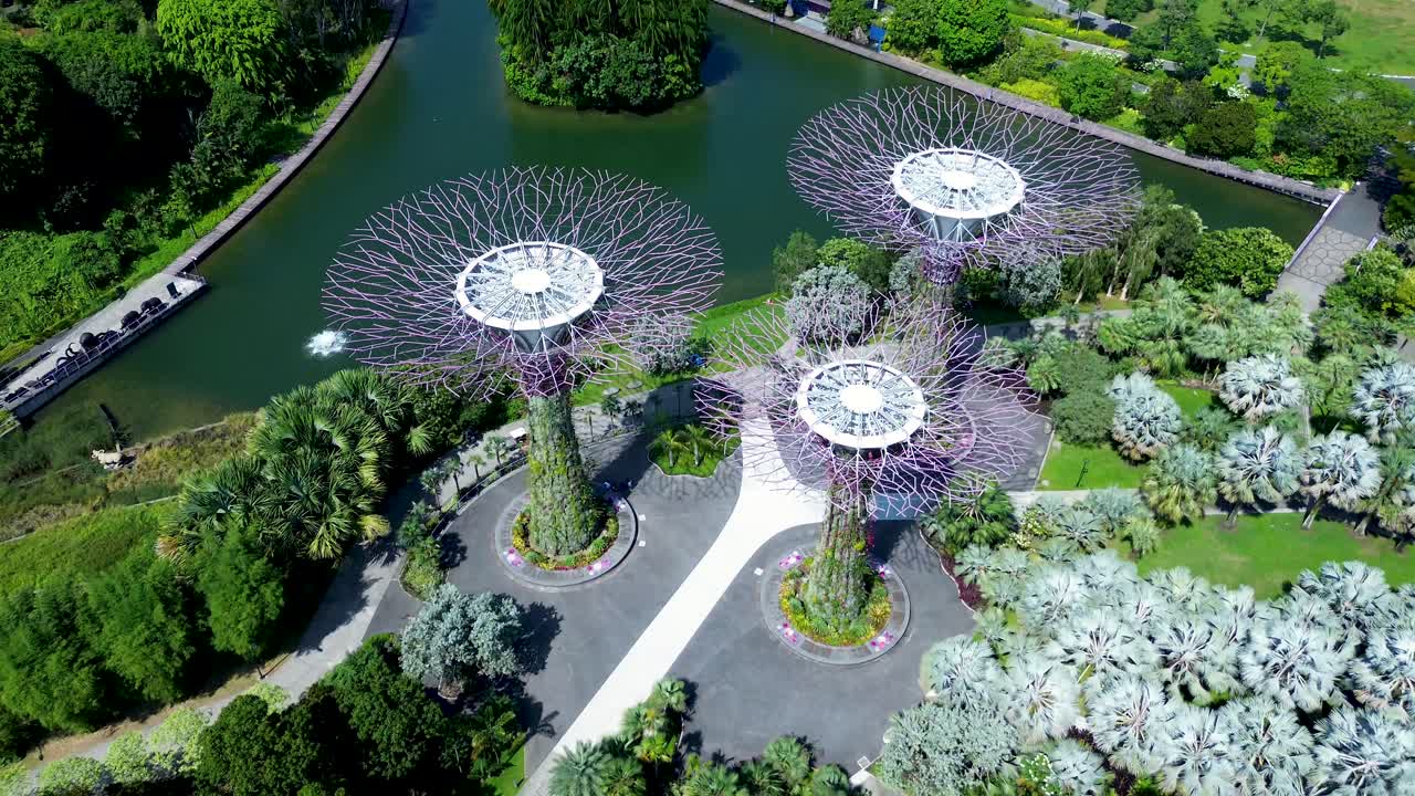 Drone aereo sul paesaggio del Supertree Grove nei Gardens by the Bay con alberi, passerella naturale e lago. Turismo e viaggi nella città di Singapore, Asia.
