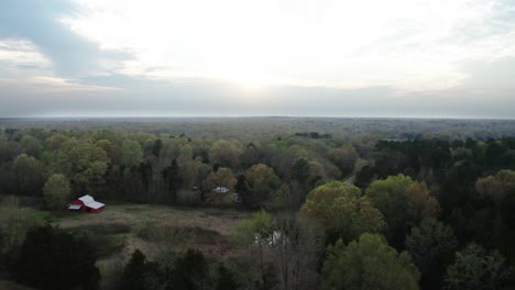 beautiful forest road and vast forestry land in horizon, aerial view