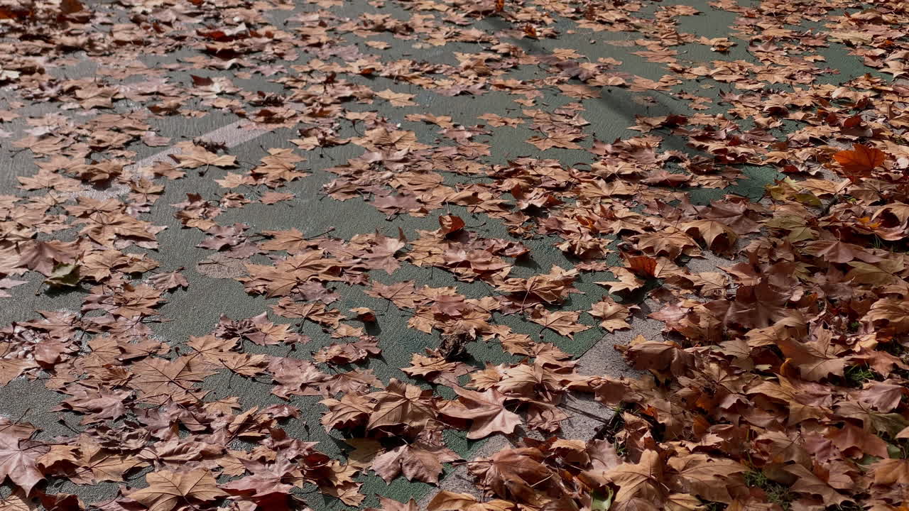 Dry fallen leaves scattered on a green urban path, creating a seasonal ground cover in winter reflecting nature's cycle