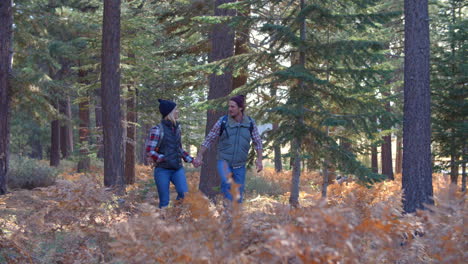 panning shot of couple walking holding hands on forest trail