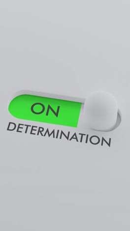 switching on the determination switch vertical video