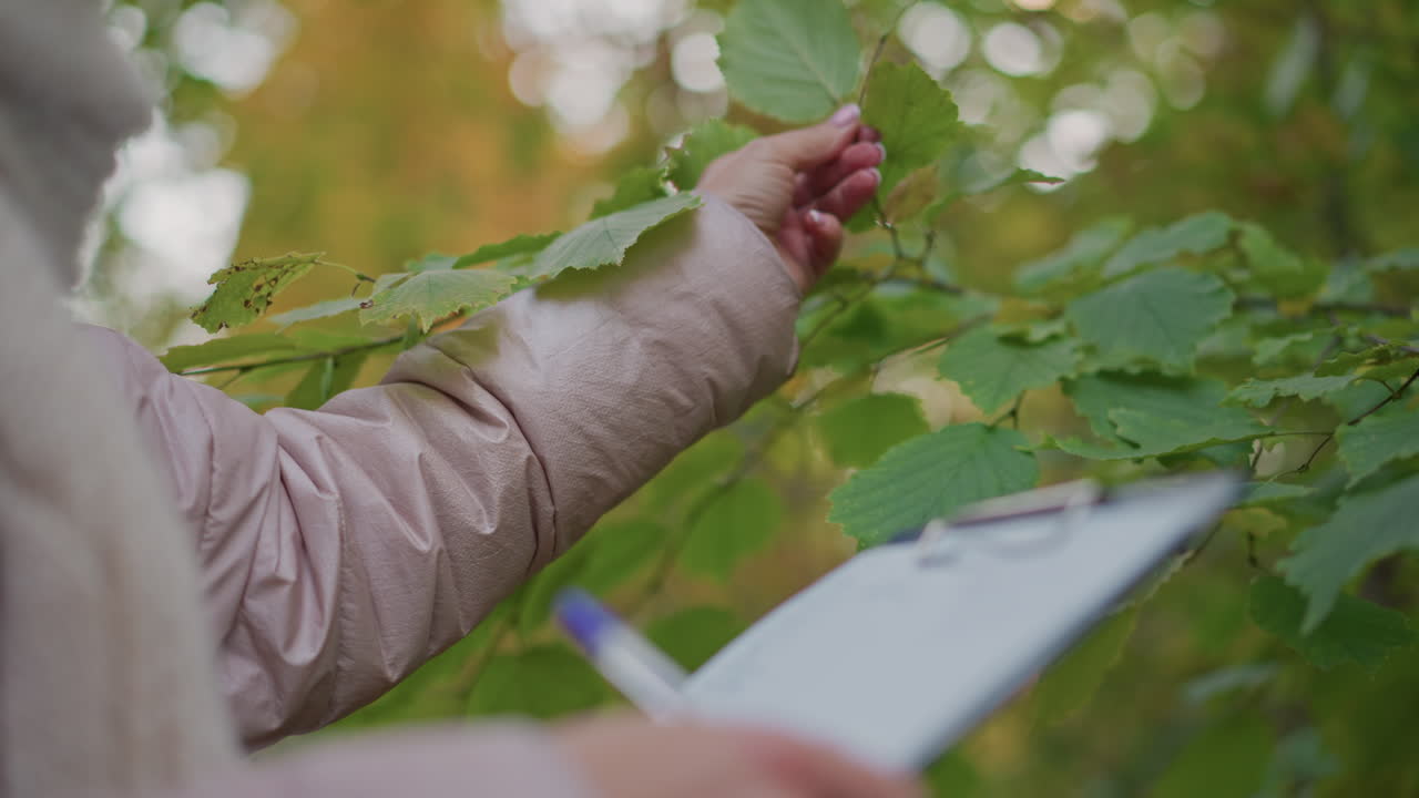 close up of female researcher wearing pink jacket and scarf examining green leaf while holding clipboard in forest, recording observations on plant condition during calm outdoor scientific study