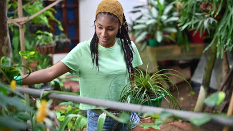 Ethnic-woman-watering-plant-in-greenhouse