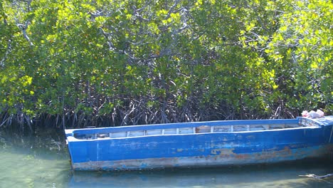 small abandoned fishing boat in a mangrove