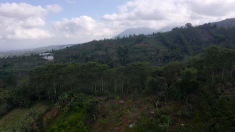 Breiter-Statischer-Blick-Auf-Roller,-Die-Durch-üppige-Wälder-In-Indonesien-Gefahren-Werden