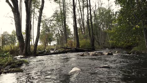 Der-Fluss-Ist-Mit-Starkem-Regen-überflutet