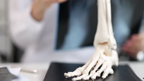 medical professional examining foot anatomy model with x-ray