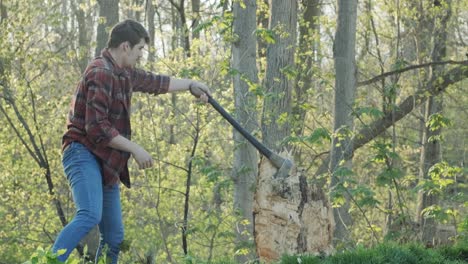poderosa toma en cámara lenta de un leñador balanceando un hacha sobre la cabeza y clavándola en un tocón de árbol