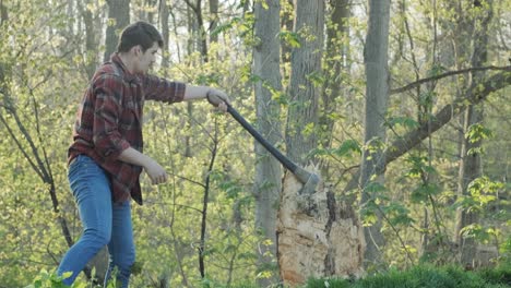 powerful slow motion shot of a lumberjack swinging an axe overhead and sticking it into a tree stump