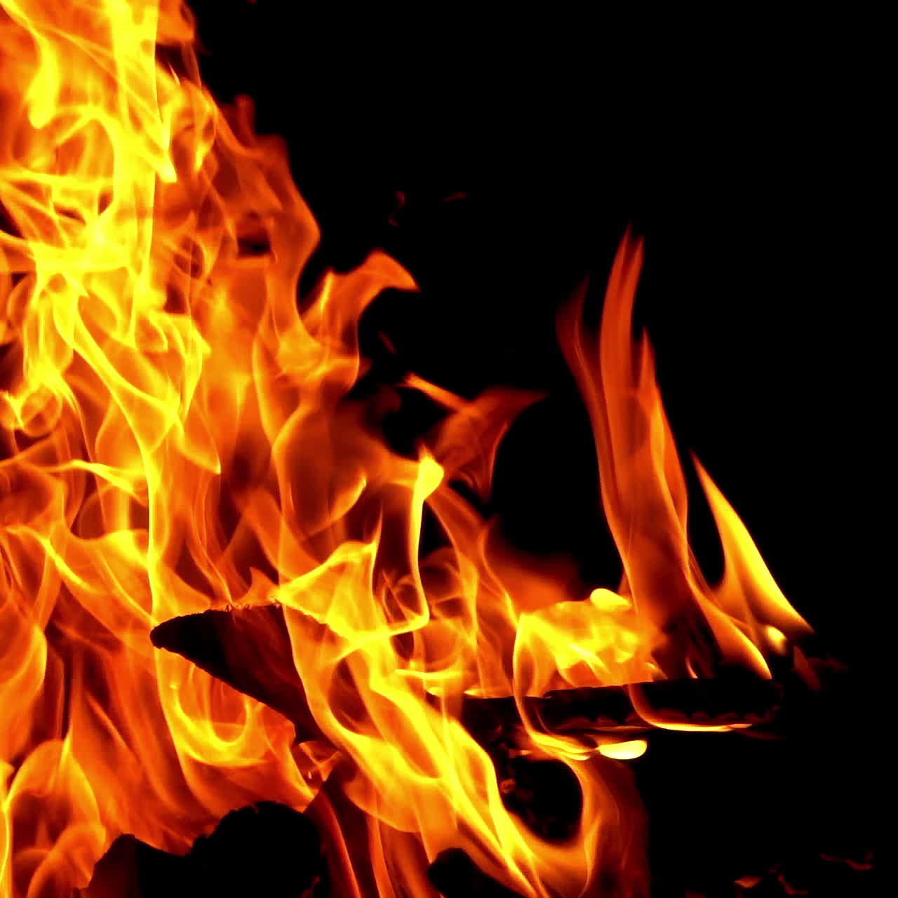 Burning Wood. Burning fire at night, campfire bonfire. Slow motion