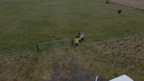 Rückansicht-Einer-Person,-Die-Ein-Pferd-Im-Zaun-Streichelt,-Island