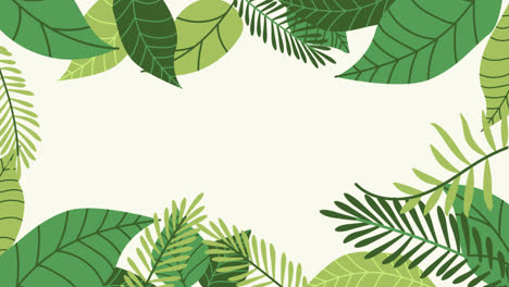 Motion-Graphic-of-Tropical-leaves-background