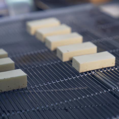 blocks of cheese