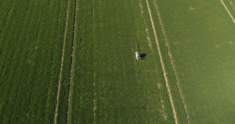 investigador agrícola fumigación archivada con herbicidas o pesticidas 6
