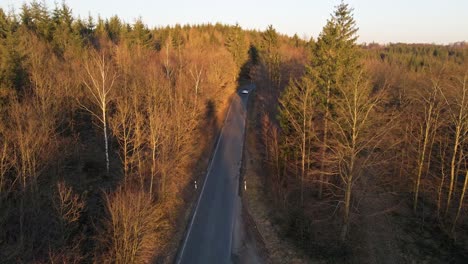 a white car driving past a gravel parking lot next to a secluded forest road during a colourful winter sunset