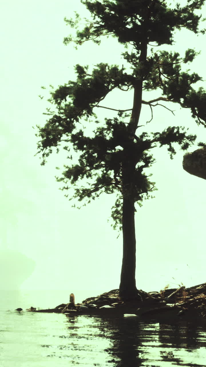 Serene lakeside view with trees and rocky shoreline during twilight hours