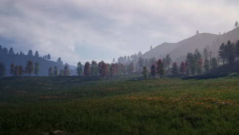 Autumn Mountain Meadow Landscape