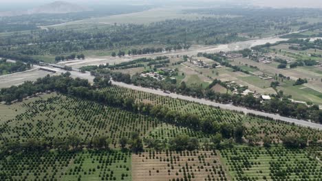 a breathtaking sight of trees in afghanistan