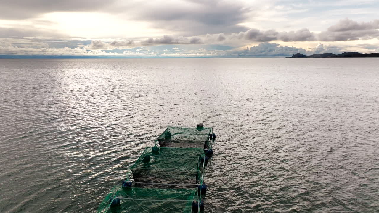Drone over rainbow trout fish farm square pens for aquaculture in Lake Titicaca