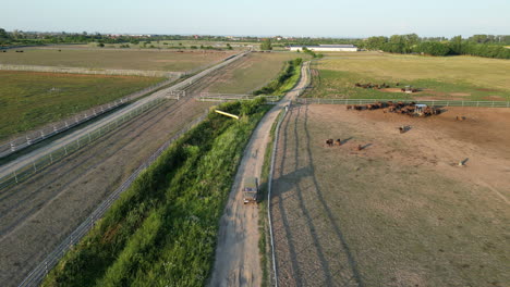 Granja-De-Bisontes-En-Europa-Vista-Desde-El-Aire.