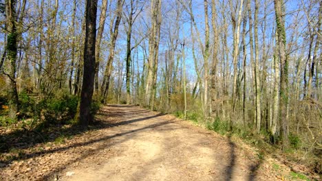 Teenager-Trekking-Im-Herbstwald