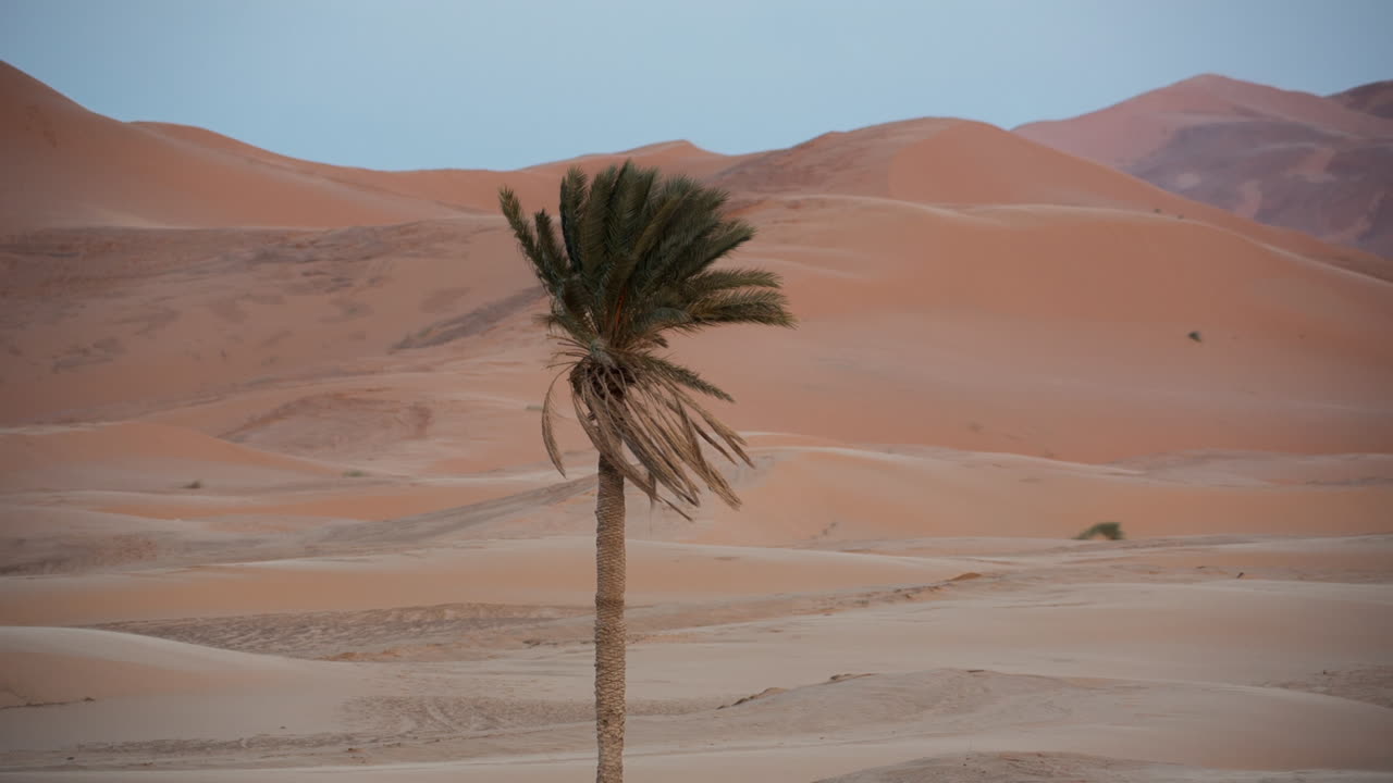 Merzouga Pustynia Sahara 03