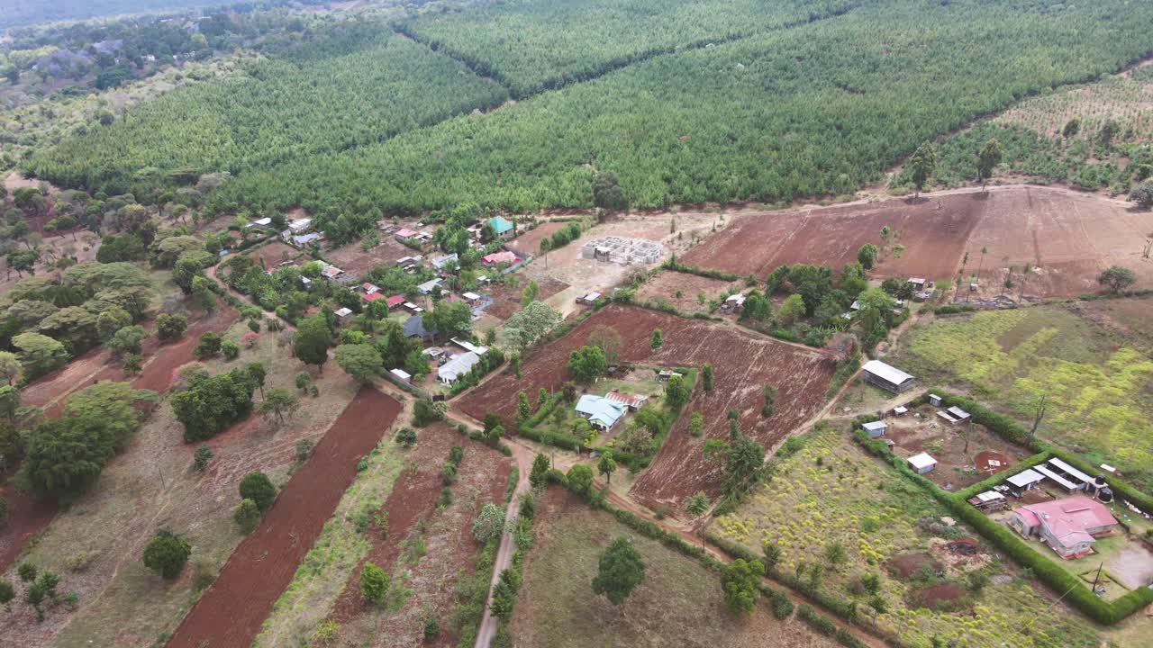 Skov set oppefra, luftfoto af skovområde