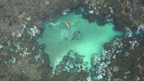 arrecifes de maragogi con turistas, área de protección ambiental de la costa de coral en alagoas, brasil - aérea de arriba hacia abajo