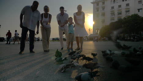 familia unida alimentando palomas en la calle