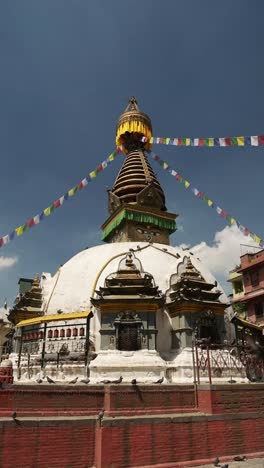 birds flying at a buddhist temple in nepal in kathmandu, vertical video for social media instagram reels and tiktok of pigeons in flight at a famous building for buddhism in kathmandu