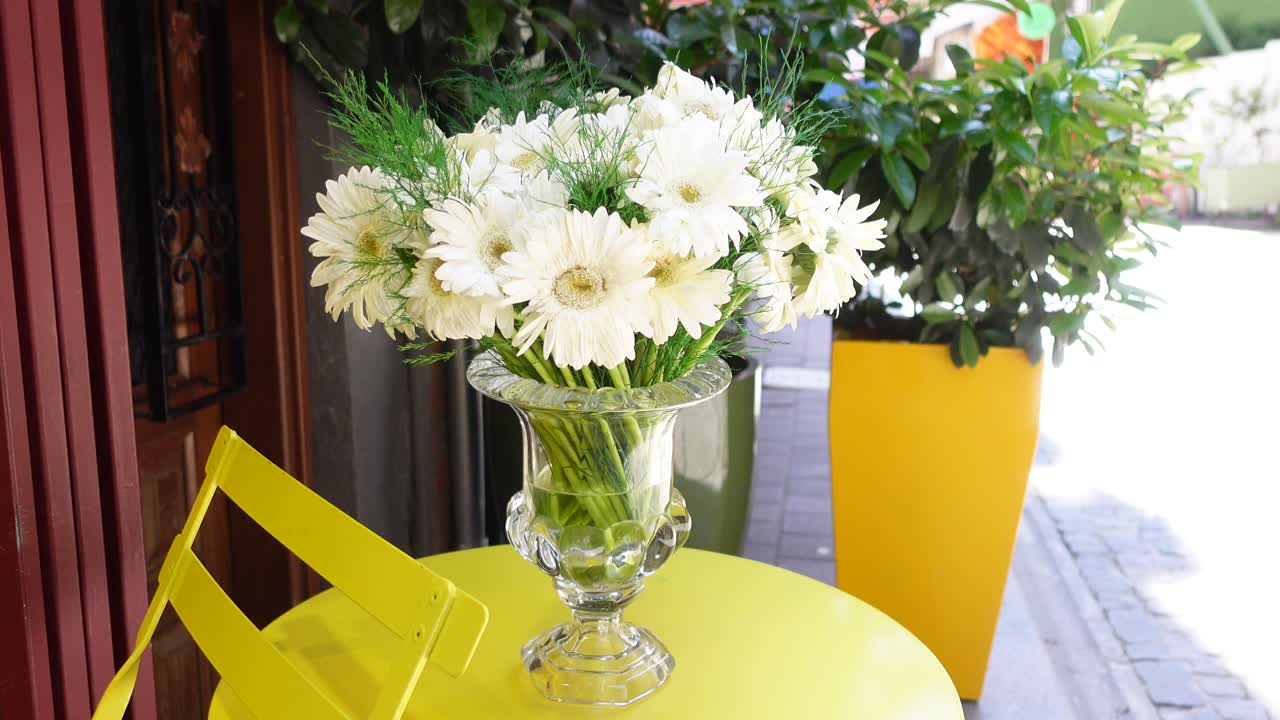 White Gerbera Daisies in a Glass Vase