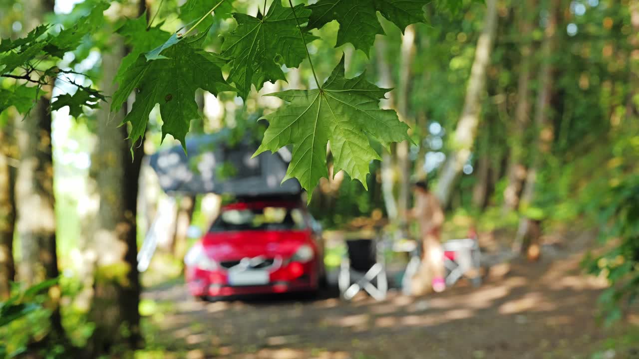 Evening sunlight sparkles on maple leaves above forest campsite and red car