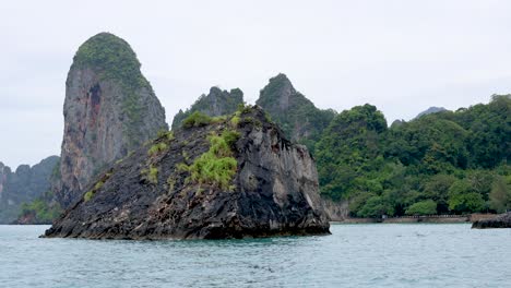 rocky island surrounded by lush greenery and sea