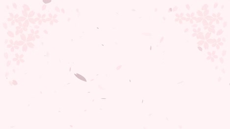 this is a background animation video of a cherry blossom snowstorm.