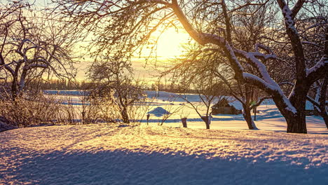 golden sunset lighting at horizon on white snowy