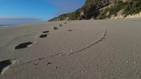 Toma-Suave-Siguiendo-Huellas-En-La-Arena-Sobre-Una-Playa-Desierta-Australia-4k