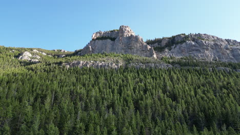 Mountain-Peak-on-Sunny-Day-in-Pine-Tree-Forest-[4K-Drone-Footage