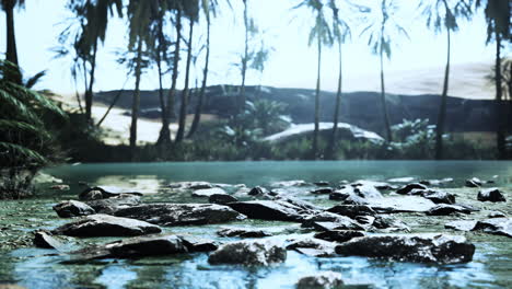 panorama of beautiful oasis surrounded by sand dunes