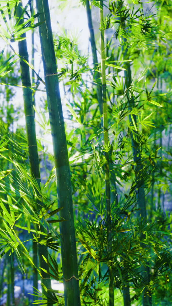 Piante di bambù verdi crescono alla luce del sole vicino all'acqua in un ambiente naturale.